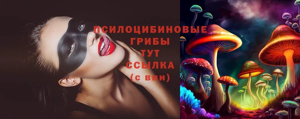кристаллы Гусев