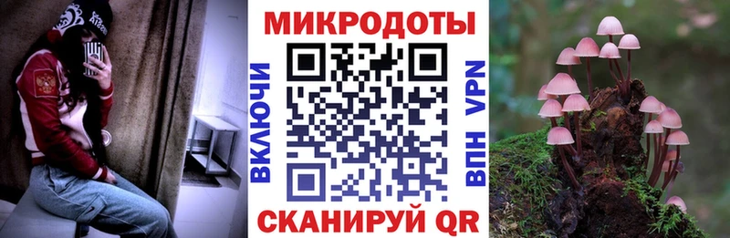 Галлюциногенные грибы MAGIC MUSHROOMS  Заволжск 